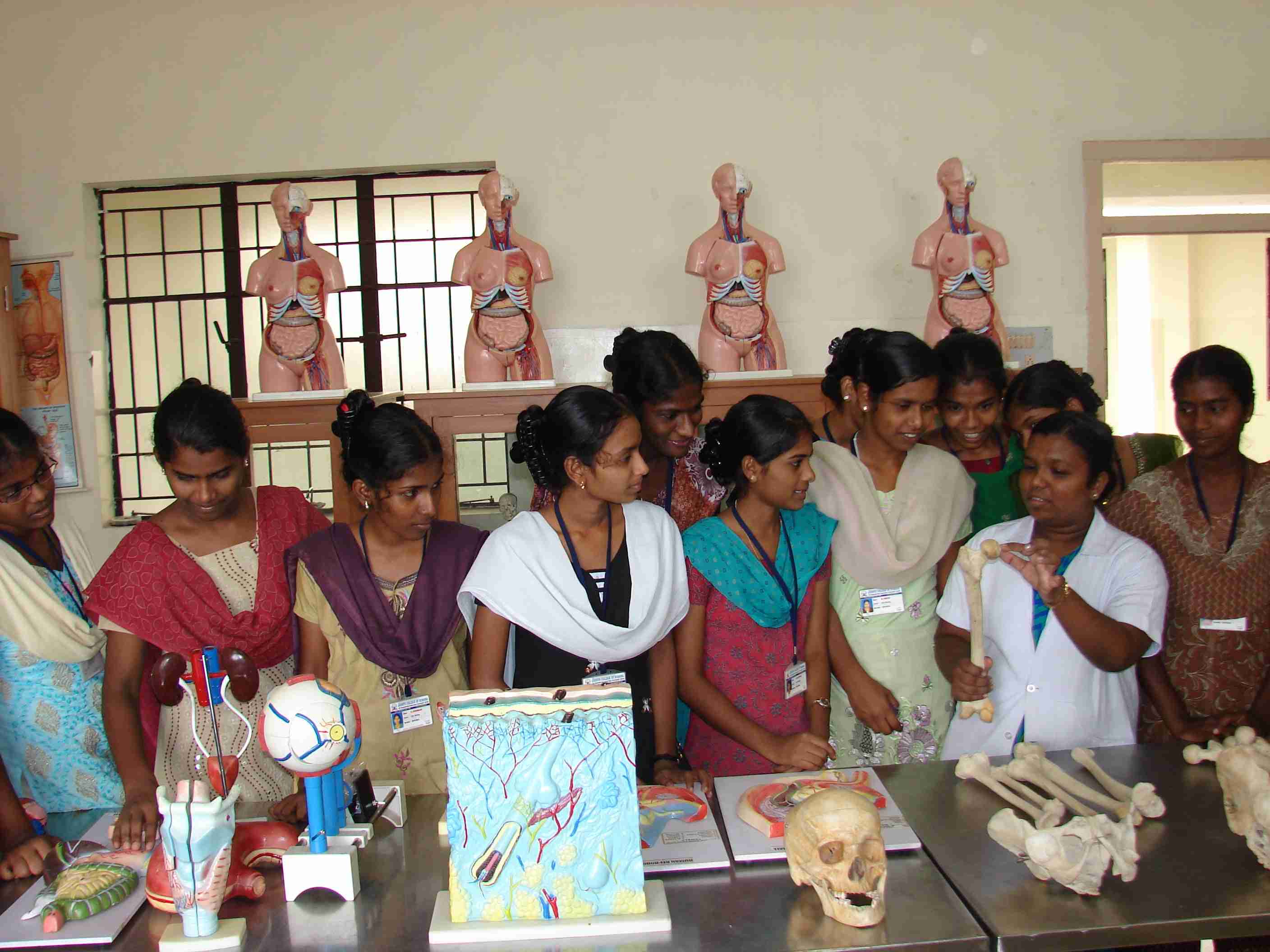 Anatomy & Physiology Laboratory